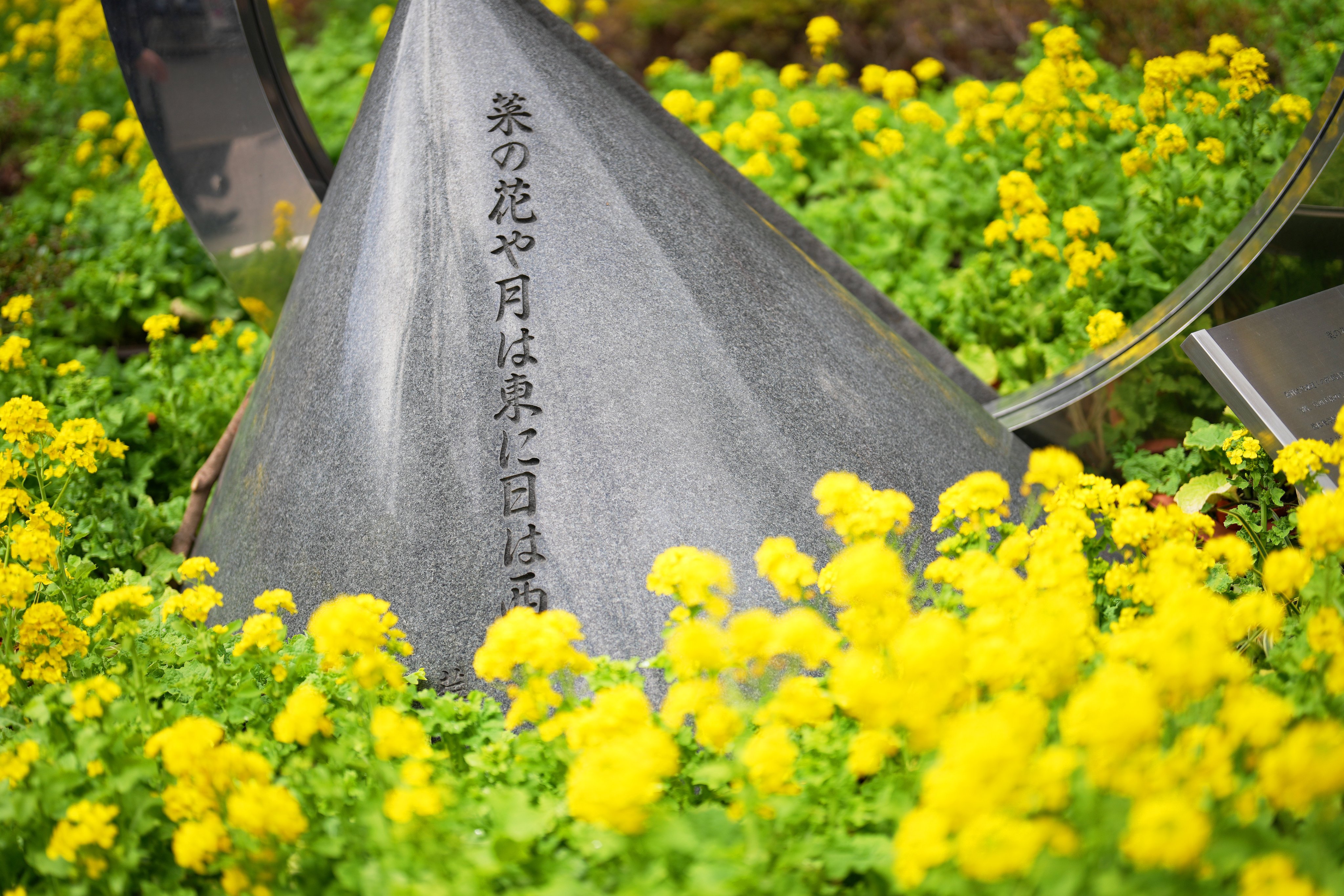 菜の花や月は東に日は西に Twitter Search Twitter