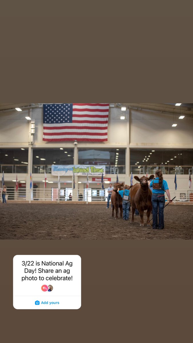 Holly Thomas tweet media