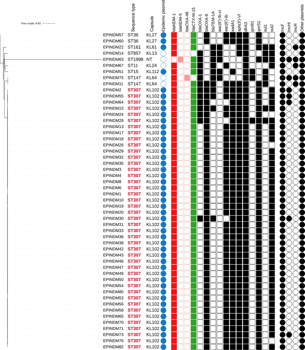 IAME_Center's tweet photo. #papersofthemonth 
@JournalSpectrum: "Simultaneous Hospital Outbreaks of New Delhi #MetalloβLactamase-Producing #Enterobacterales Unraveled Using Whole-Genome Sequencing"

https://t.co/DaP5cgAmeO

@IsabelleLolom @RondinaudE @HenriWicky @RuppeEtienne @Laurence_Armand https://t.co/x4Lr64rrx4