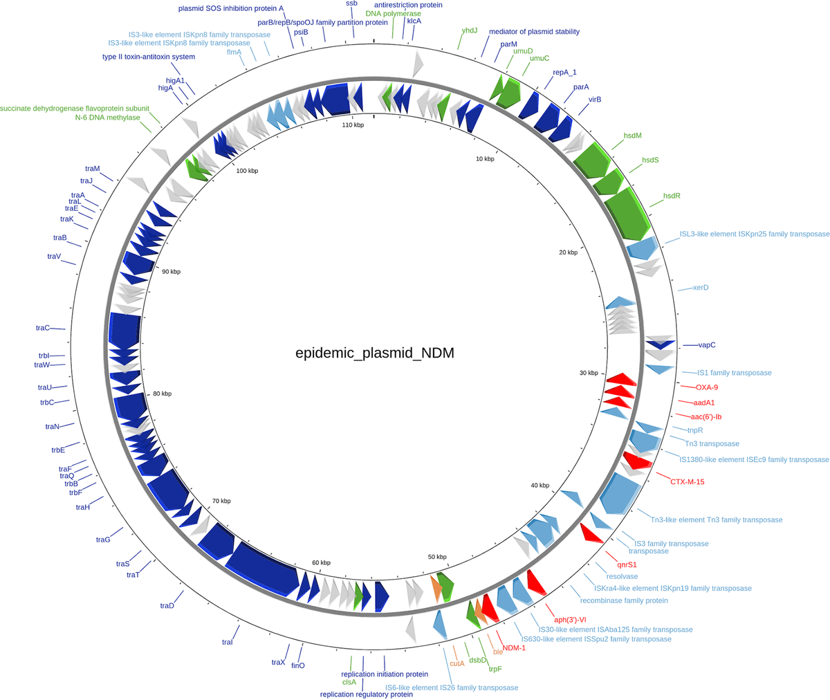 IAME_Center's tweet photo. #papersofthemonth 
@JournalSpectrum: "Simultaneous Hospital Outbreaks of New Delhi #MetalloβLactamase-Producing #Enterobacterales Unraveled Using Whole-Genome Sequencing"

https://t.co/DaP5cgAmeO

@IsabelleLolom @RondinaudE @HenriWicky @RuppeEtienne @Laurence_Armand https://t.co/x4Lr64rrx4