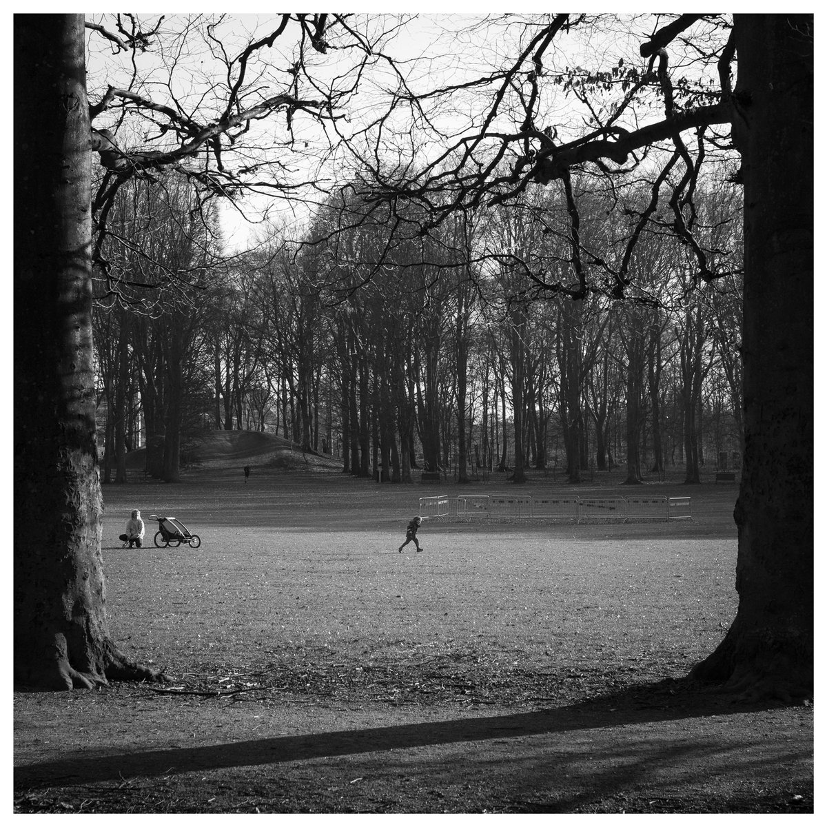 HellstenPhoto's tweet image. Malmö, 2022