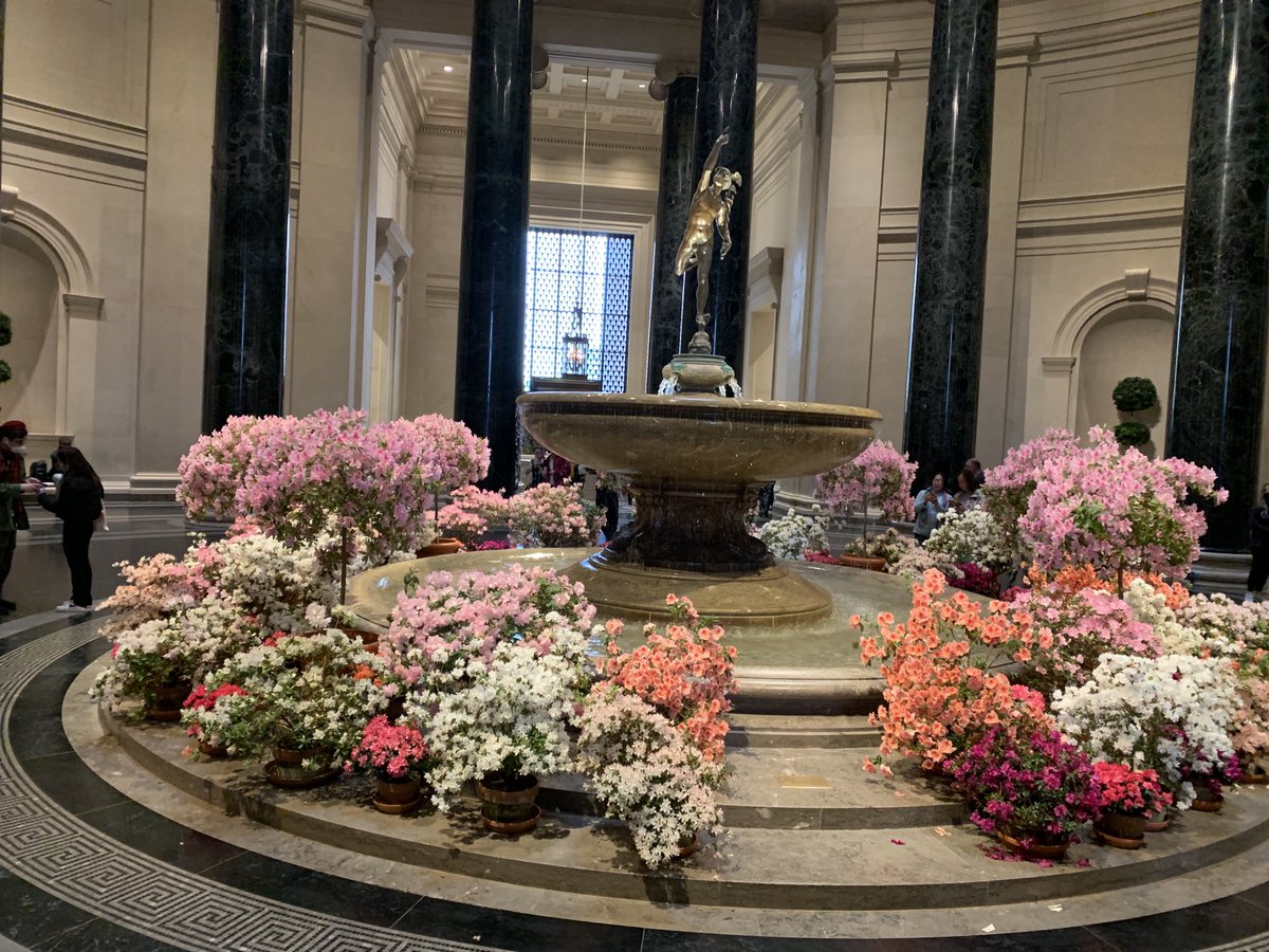 kmsDCbus2's tweet photo. Museum of Natural History and then getting our culture on at the Art Museum. https://t.co/e0oslE6GCn