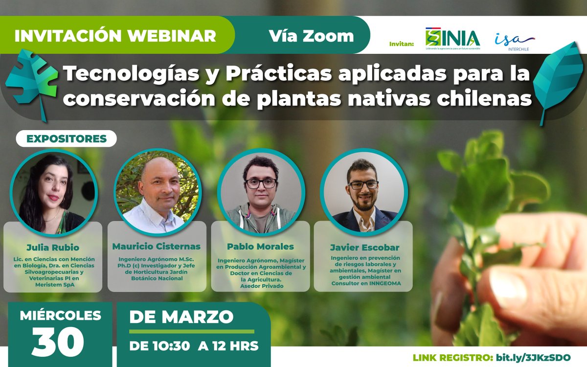 INIA_LaCruz's tweet photo. 🌳¿Sabías porqué es importante incorporar plantas nativas en nuestro ecosistema? Son indispensables para la conservación de la biodiversidad y restauración del paisaje
📌Webinar: Tecnologías para la conservación de plantas nativas. 🗓️¿Cuándo? 30 de marzo
https://t.co/0EqYFOy9pO https://t.co/YP2tR9BV69