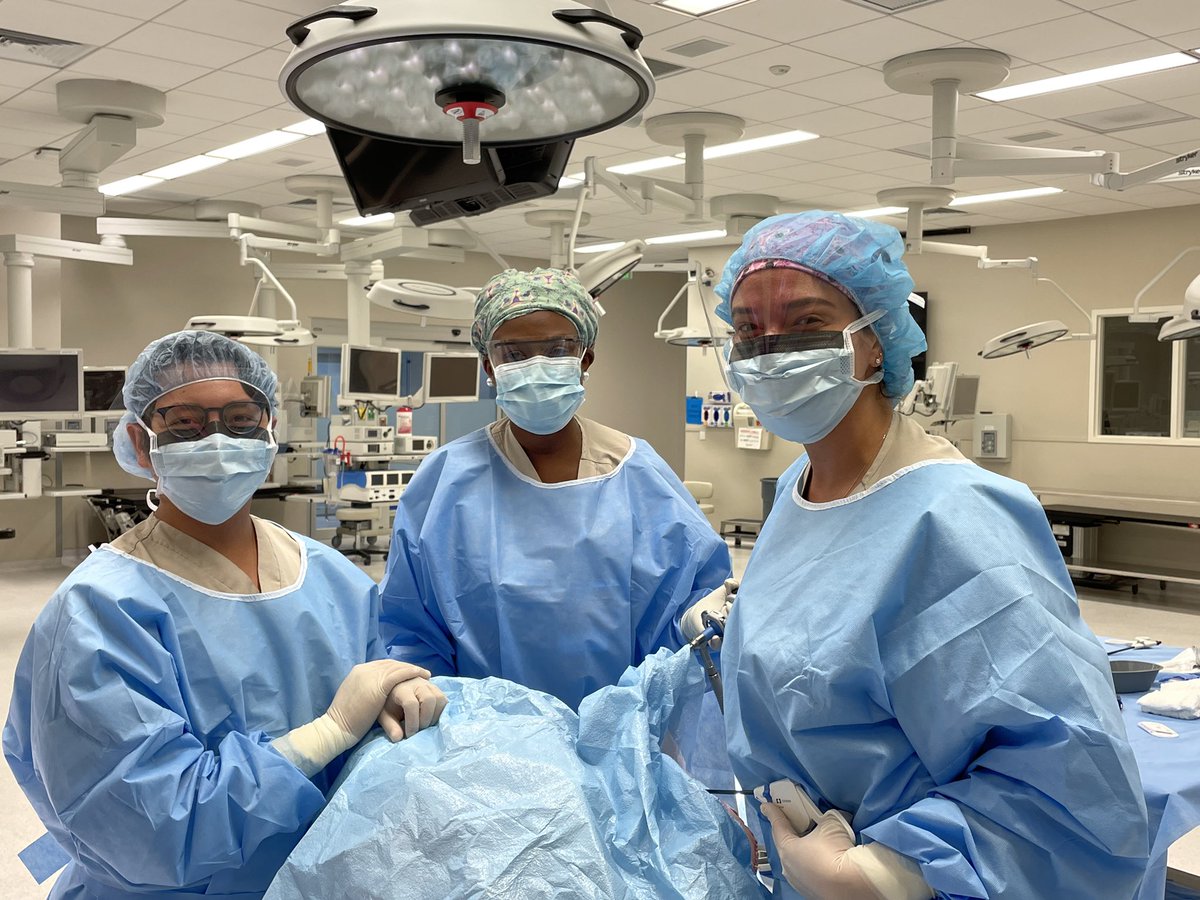 It was a beautiful day for laparoscopic sacrocolpopexy practice! Thanks to our attending @KatiePropstMD for guiding us through - we can’t wait for the next one! #cadaverlab #sacrocolpopexy  #urogynfellows