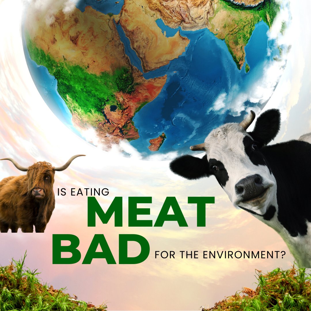 Thecarnivorebar (@Thecarnivorebar) / Twitter