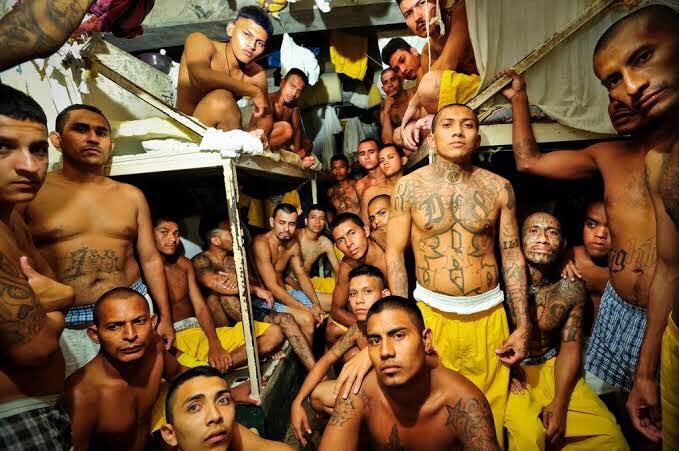 Gido on Twitter: "Top 10 Most Dangerous Prisons in the World. 1.MENDOZA PRISON, ARGENTINA the inmates are so dangerous that guards would leave meals at specific spots, far away from the prisoners,