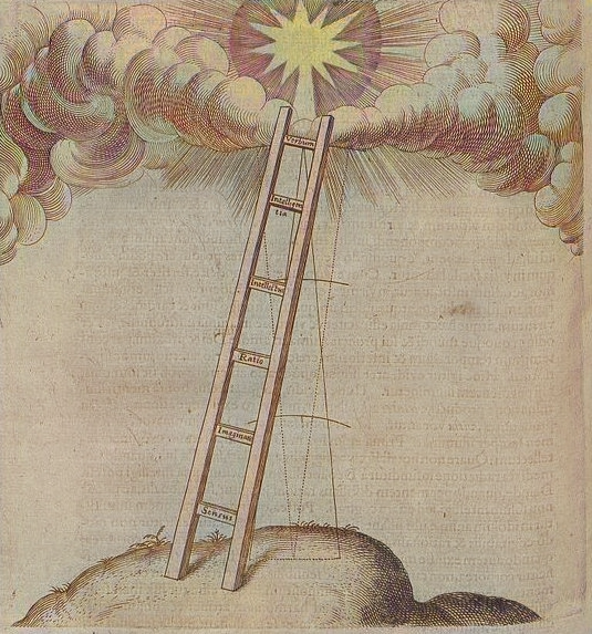 iluminatibot's tweet image. 