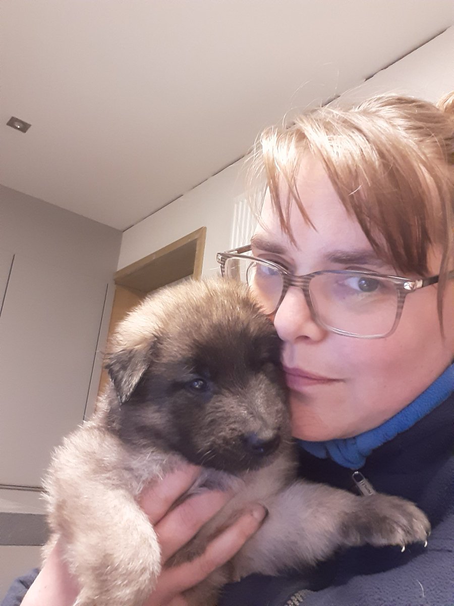 Jaye_Arch's tweet photo. How am I supposed to get any work done with 6 of these fluffballs toddling around? 😭 https://t.co/1gX4ySlVpH