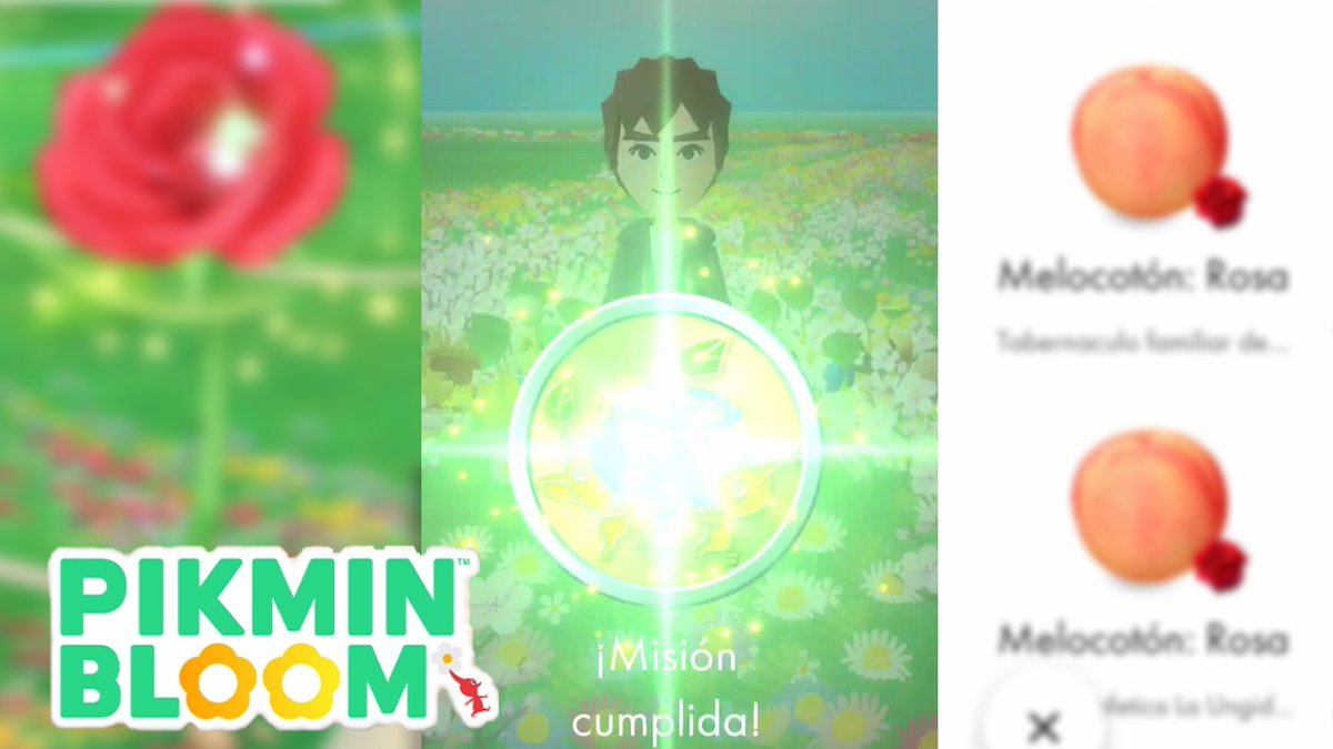 youtu.be/-KoJZtrrYoM
Así de ÉPICO FUE 🌹obtener esta "NUEVA INSIGNIA" en Pikmin Bloom - Nientiendo
<a href="/PikminBloom_jp/">Pikmin Bloom Japan │ ピクミンブルーム</a>
<a href="/PikminBloom/">Pikmin Bloom</a> 
#PikminBloom
#ピクミンブルーム
#ピクミンブルームフレンド募集