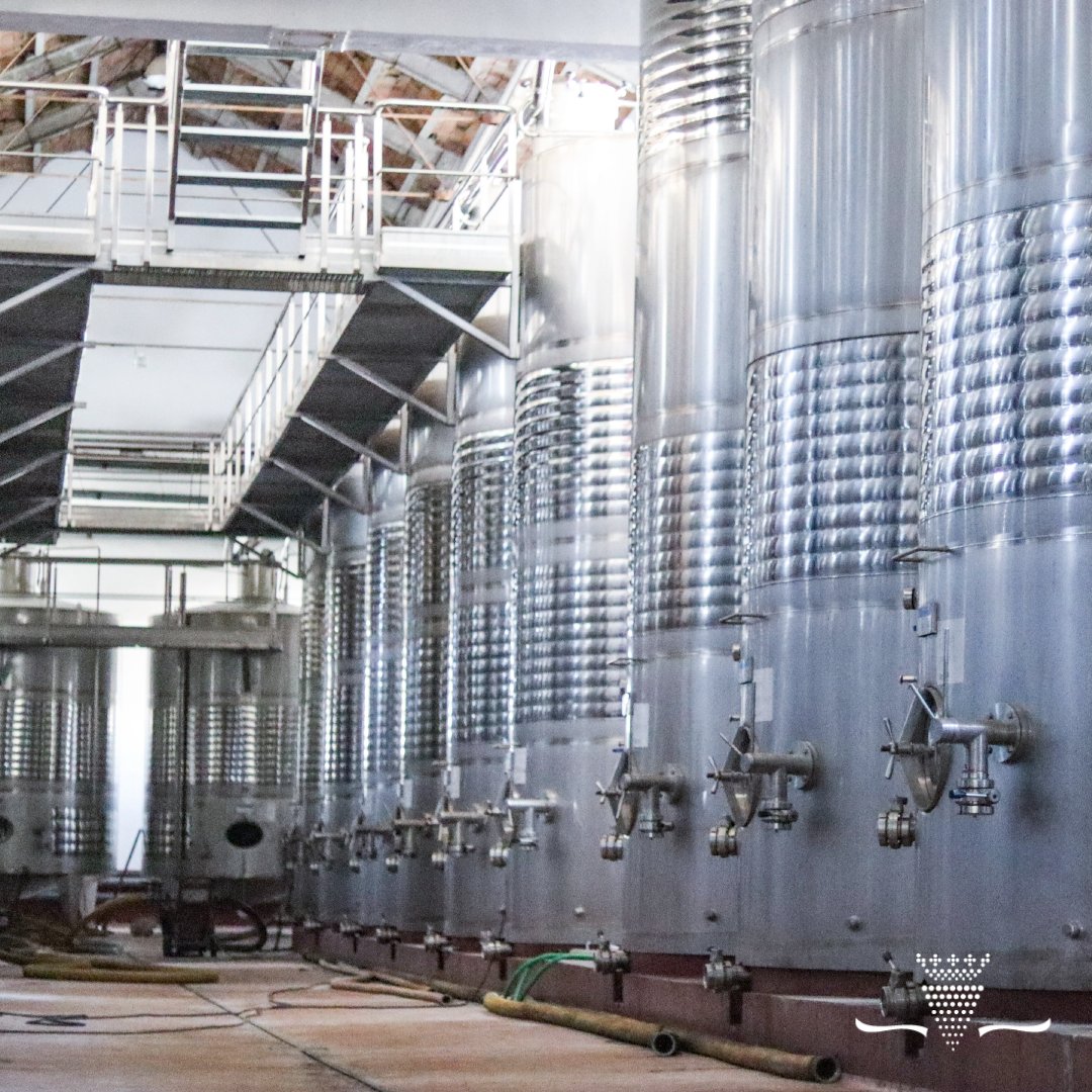 En nuestra bodega convive la tradición y la modernidad, logrando que nuestros vinos se hayan convertido en embajadores del Condado por toda España 🥰
¿Cuál es tu vino favorito de nuestra bodega?

#vinosdelcondadodehuelva #vinosdehuelva #vinosandaluces #vinoblanco #uvazalema