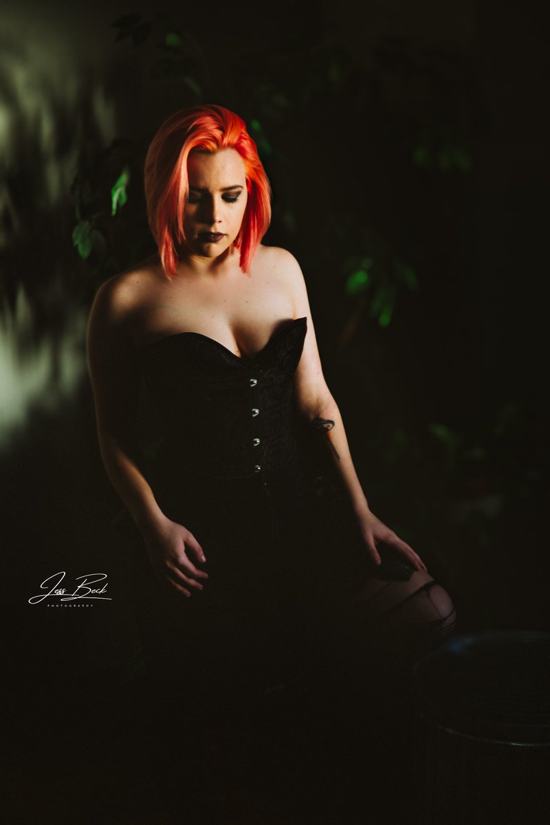 Jess Beck Photography tweet media