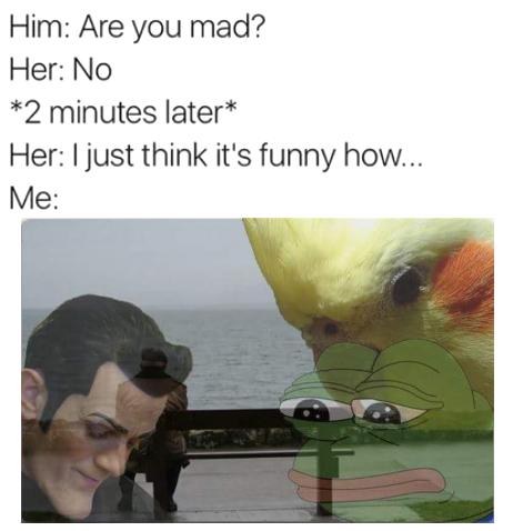 ShitpostBot5000's tweet photo. https://t.co/xyGoy1CDg2
