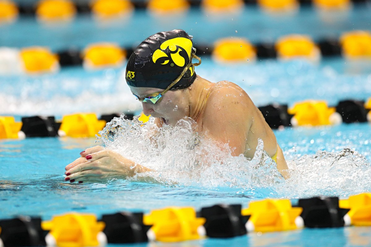 IowaSwimDive's tweet photo. 𝓒𝓸𝓷𝓰𝓻𝓪𝓽𝓼 𝓽𝓸 𝓸𝓾𝓻 𝓐𝓬𝓪𝓭𝓮𝓶𝓲𝓬 𝓐𝓵𝓵-𝓑𝓲𝓰 𝓣𝓮𝓷 𝓼𝓮𝓵𝓮𝓬𝓽𝓲𝓸𝓷𝓼!

Aleksandra Olesiak
@annapfeiffer24
@samtamborskii
@_mermaidariel 

#Hawkeyes https://t.co/Jngq7f7eWP