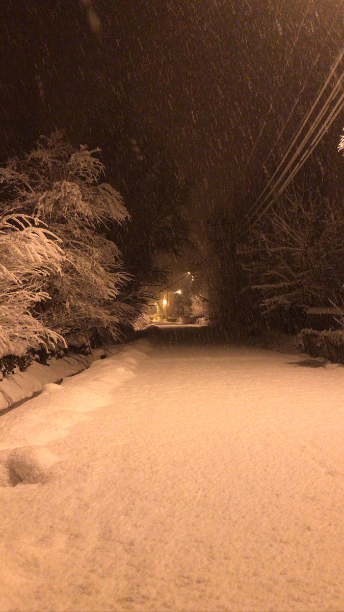 Seninle şurda el ele yürümek..♥️
<a href="/asha_reis/">selman</a> 🤍