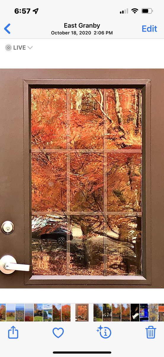 lynnsferrazza1's tweet image. #MarchReflectionChallenge from October archives. ⁦@bbrendatweets⁩ ⁦@KborgesPR⁩