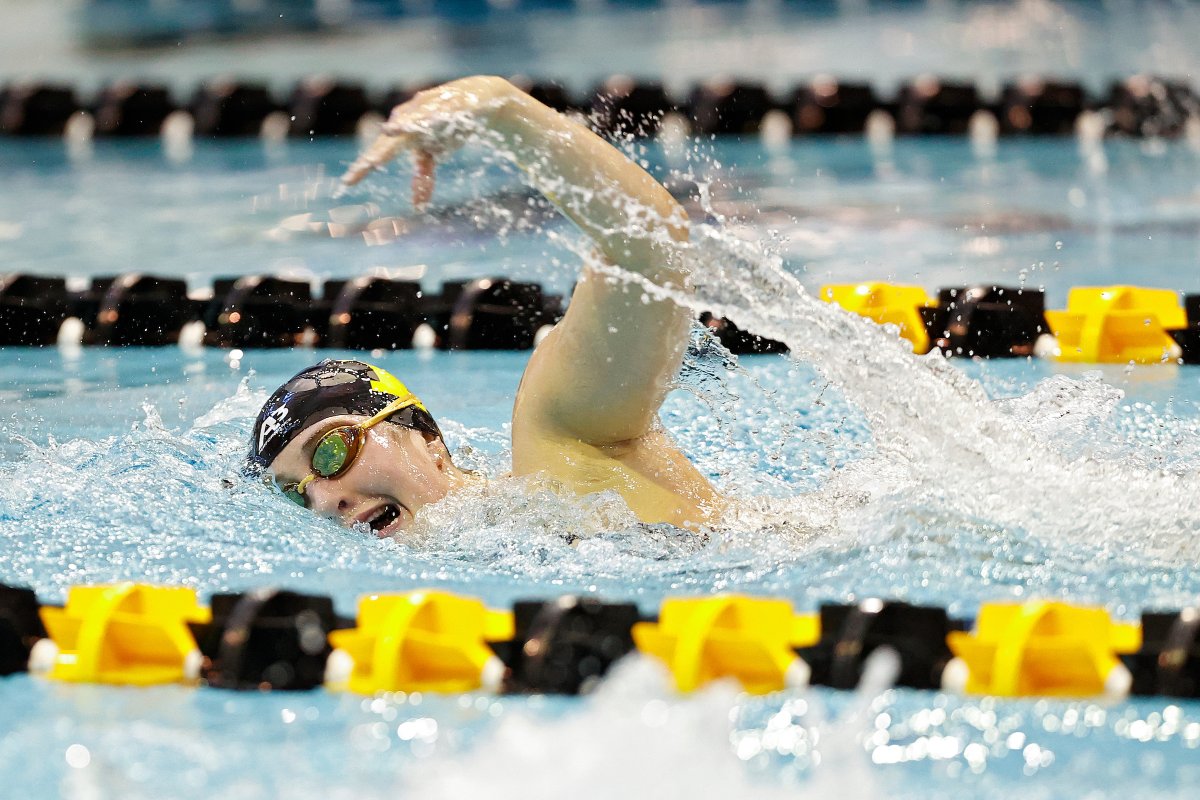 IowaSwimDive's tweet photo. 𝓒𝓸𝓷𝓰𝓻𝓪𝓽𝓼 𝓽𝓸 𝓸𝓾𝓻 𝓐𝓬𝓪𝓭𝓮𝓶𝓲𝓬 𝓐𝓵𝓵-𝓑𝓲𝓰 𝓣𝓮𝓷 𝓼𝓮𝓵𝓮𝓬𝓽𝓲𝓸𝓷𝓼!

@_maddieblack_
@annabrookerr
@georgiakclark
Claire Hartley

#Hawkeyes https://t.co/edZuVoQhe9