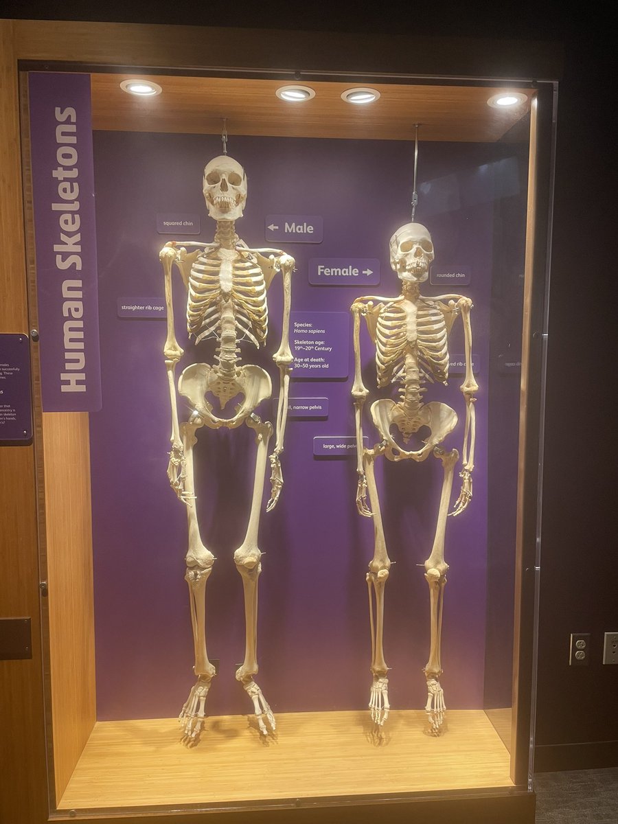Just took the kids to the Museum of Science in Boston for the first time in ages, and look what we found? Notice any differences? How long until they take this down?