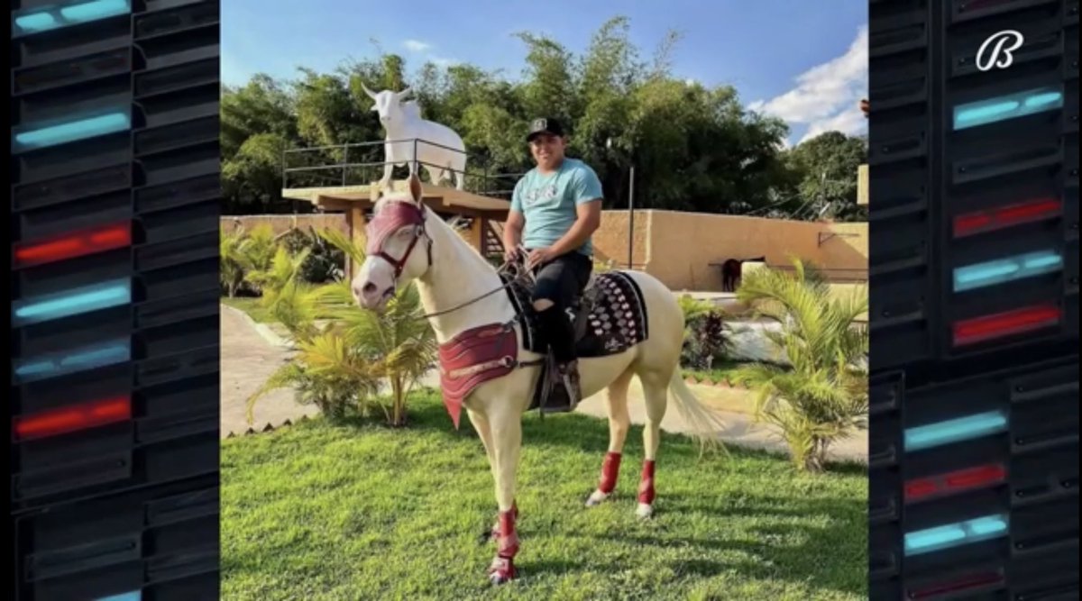 halosheaven's tweet photo. 🚨 José Suárez on a horse 🚨 https://t.co/GlG0MD4u6W
