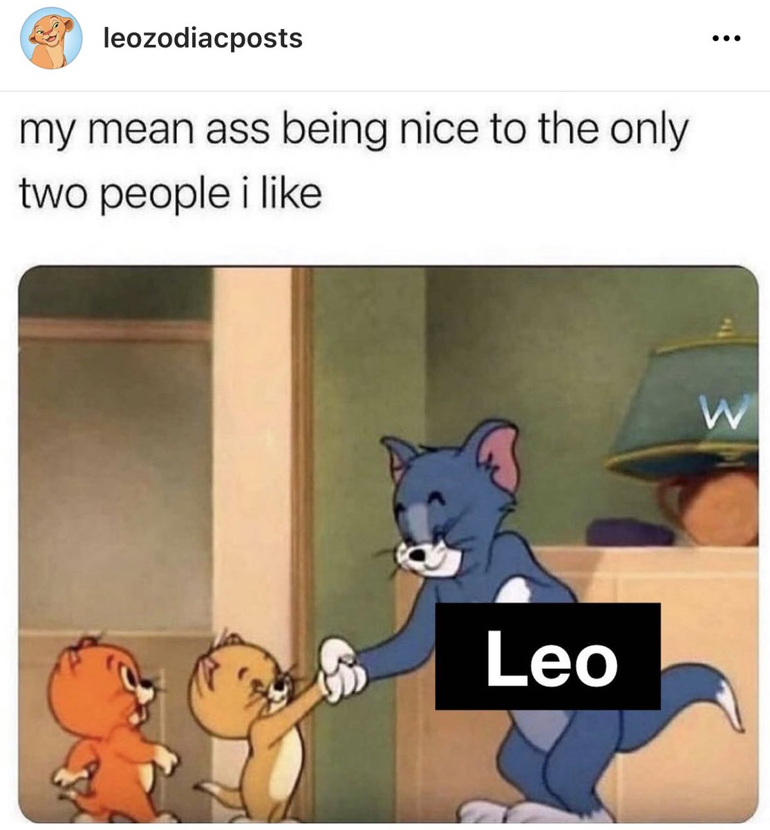 Leo_Tweets's tweet photo. Follow leozodiacposts on Instagram for all things #Leo ♌️ 🦁 https://t.co/9mf7l05OHc