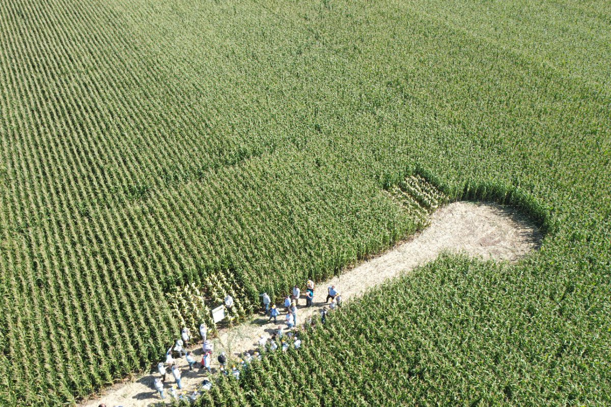 NideraSemillas's tweet photo. Estamos en temporada de entrenamientos a nuestra https://t.co/6UhAQGkA38💪🌽🌾🌻🌱

👉🏻Mirá desde arriba los ensayos  de maíz y soja en Río Cuarto, Córdoba 😎 https://t.co/1DB9d7y2sF