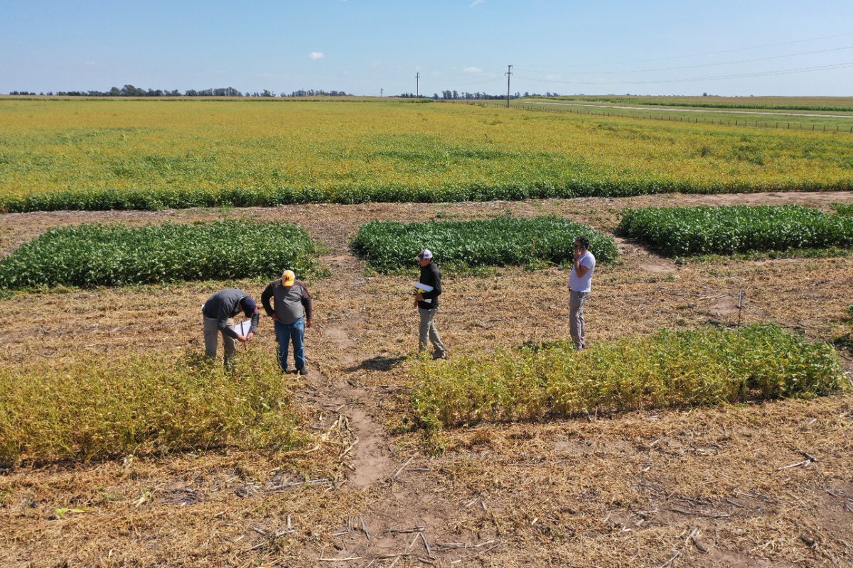 NideraSemillas's tweet photo. Estamos en temporada de entrenamientos a nuestra https://t.co/6UhAQGkA38💪🌽🌾🌻🌱

👉🏻Mirá desde arriba los ensayos  de maíz y soja en Río Cuarto, Córdoba 😎 https://t.co/1DB9d7y2sF