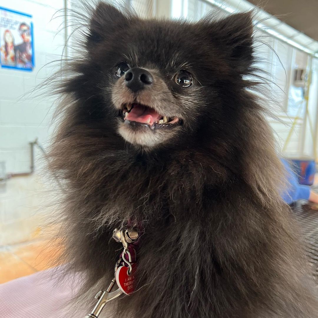 ENVOLVE Schools tweet media