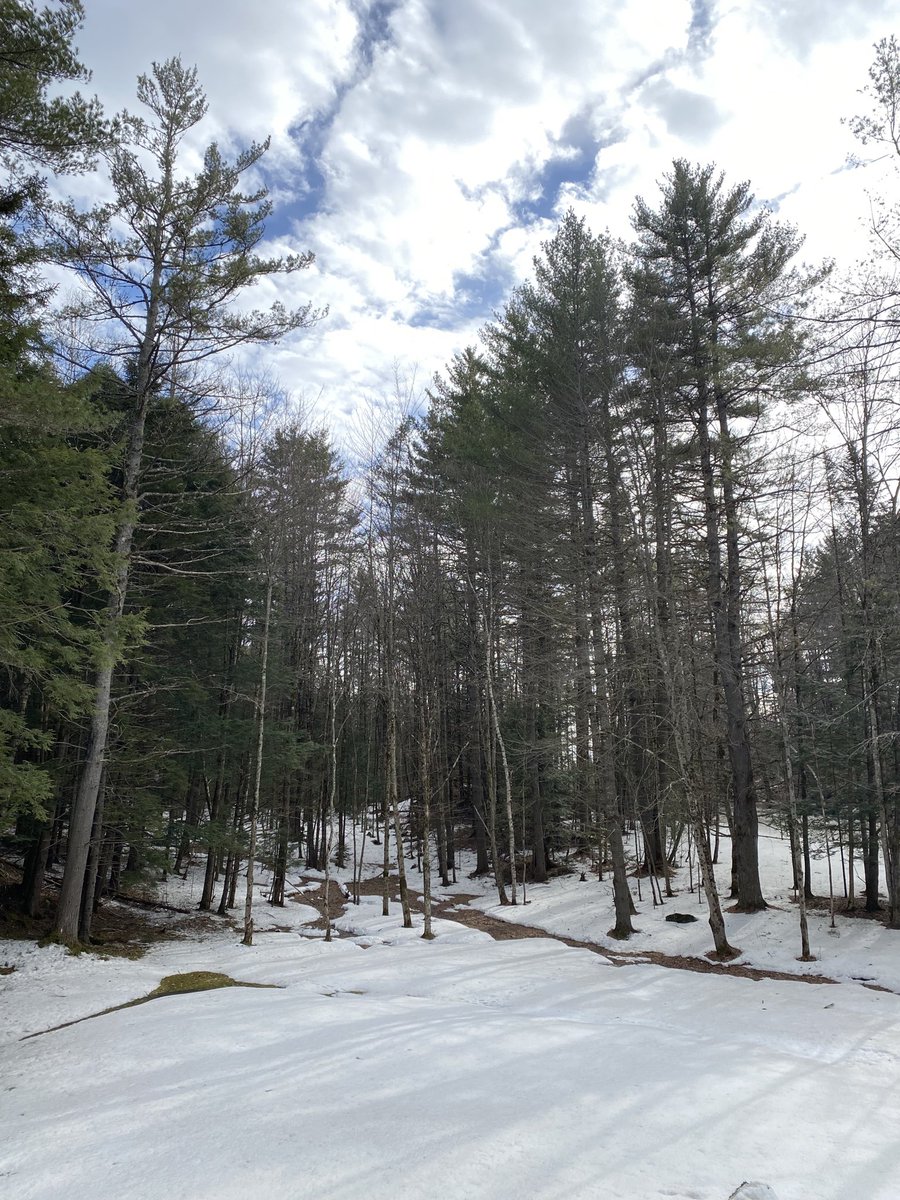 The Vermont snow is melting. Of course that means mud season is starting early this year.