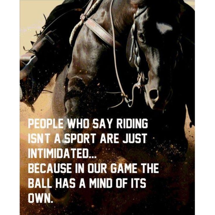 I'm not sure which is worse, being told "riding is not a sport" or "the horse does all the work" #TheDressageHour