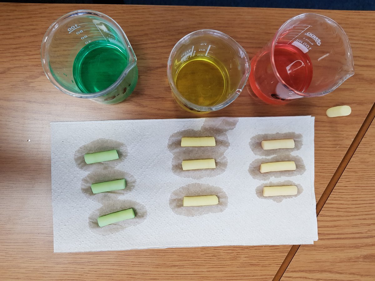 Potato osmosis practical tip: add food colouring to the solutions. Only potatoes in hypotonic solutions change colour. Students can then see the results, even before weighing the potatoes &amp; they can analyse, even if they messed up the measurements. <a href="/chatbiology/">Chat Biology</a> #STEMeducation