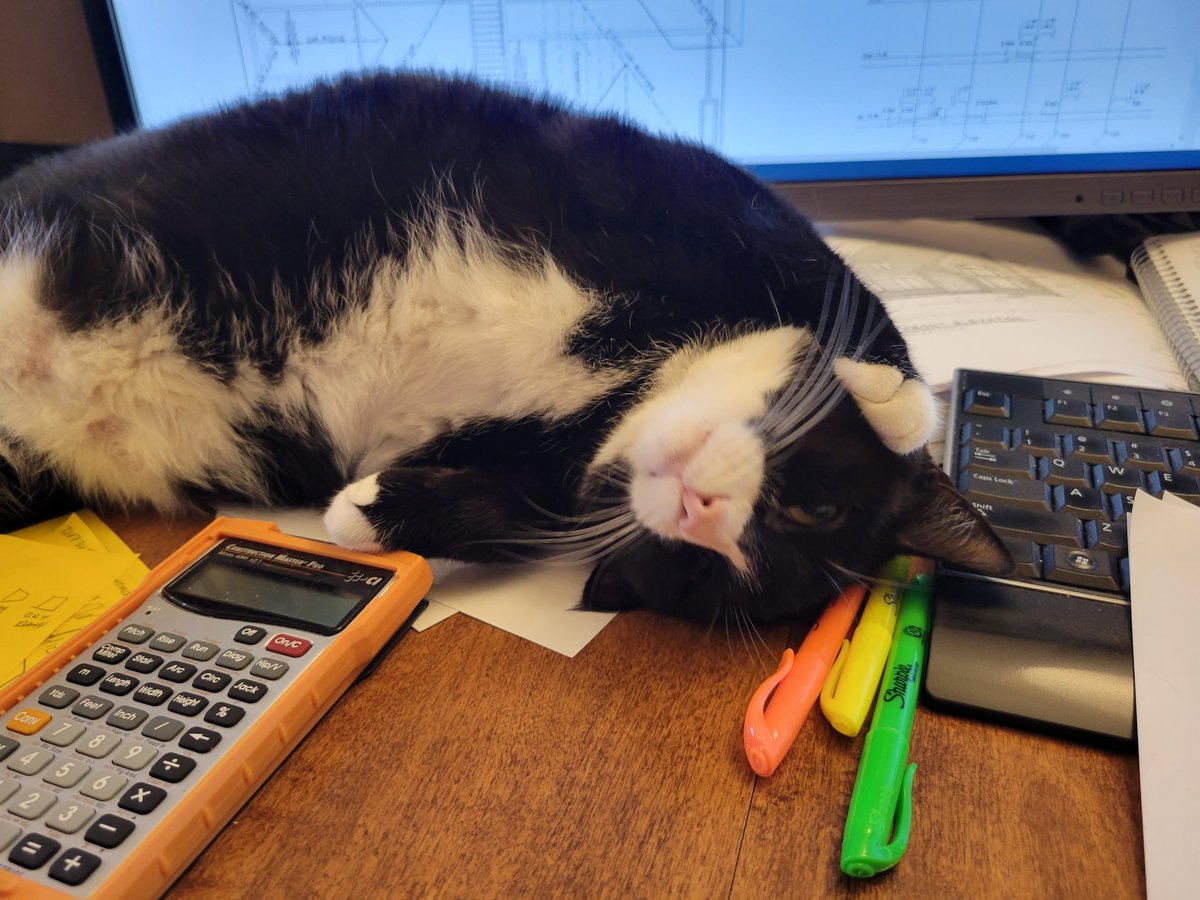 john_holzinger's tweet photo. @WolfVanHalen My work issues. Paco rulez... https://t.co/8bv0yd2HFT