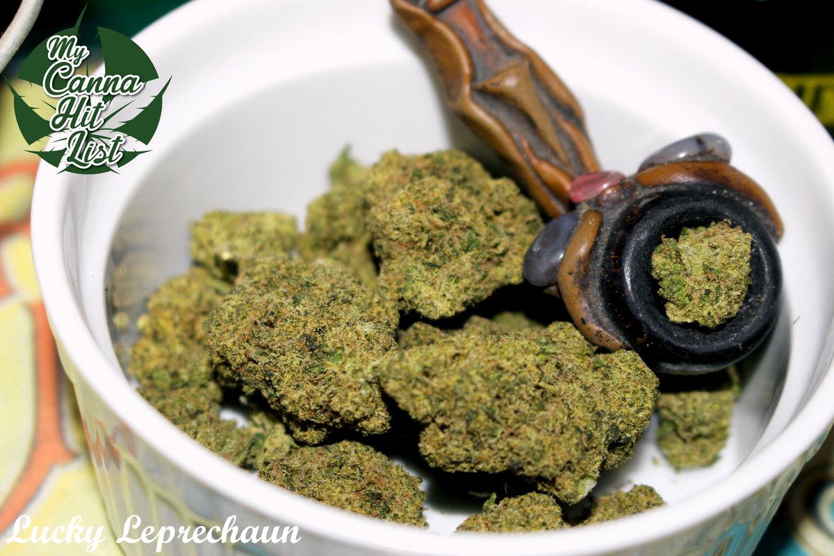MyCannaHitList's tweet photo. The hits keep on coming...new post on The Hit List!
Lucky Leprechaun goes under the marijuana-microscope!
https://t.co/PqyaLwF8P2
#StrainReviews #420 #StonerFam #CannabisCommunity #Weed #COCannabis #MaggiesFarm #LuckyLeprechaun https://t.co/QovNfU54V7