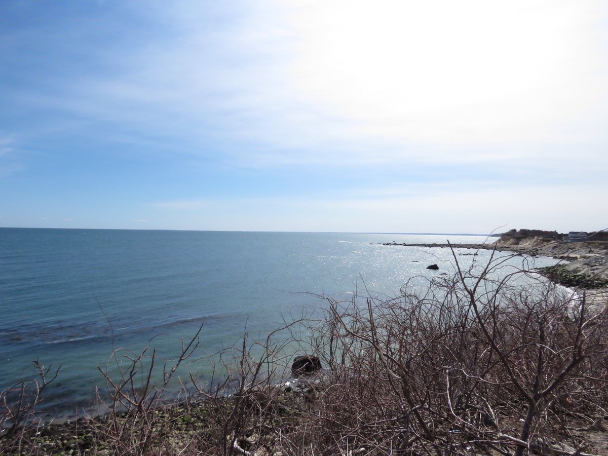 MA_Sharks's tweet photo. Just eating lunch at my favorite spot, Manomet Point in Plymouth, whilst I watch the right whales frolicking in Cape Cod Bay. Still a ways out but thanks to my @CanonUSAimaging SX60 I captured a few spouts. https://t.co/HBwn6THH0J