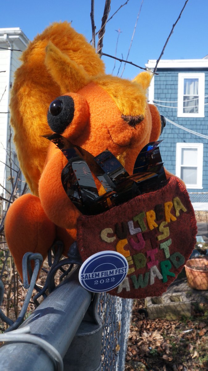 Yeah - so nobody does trophies quite like SFF. Here's Arlene Browne's Sid the Squirrel/Cultrera Cuts Edit Award. It's gonna be hard to send Sid away, as he's made himself at home in a Salem backyard <a href="/ArleneBrowne2/">ABrowne</a> #squirrel #Squirrels