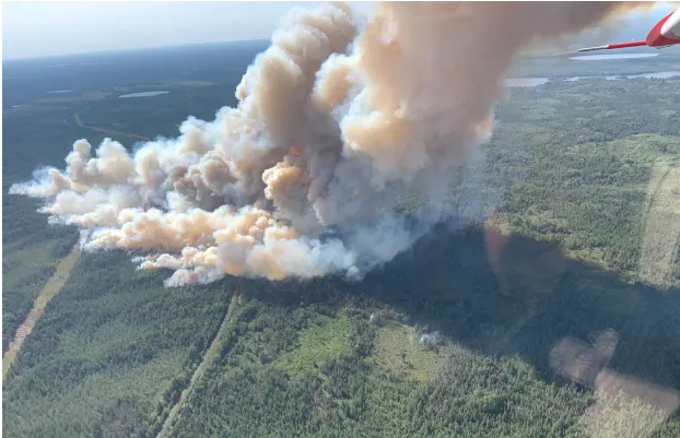 Tonight! We're talking with Tofte District Ranger Ellen Bogardus-Szymaniak will talk about the #2021GreenwoodFire and how to be firewise this season in #Minnesota | RSVP: bit.ly/3vLwB36