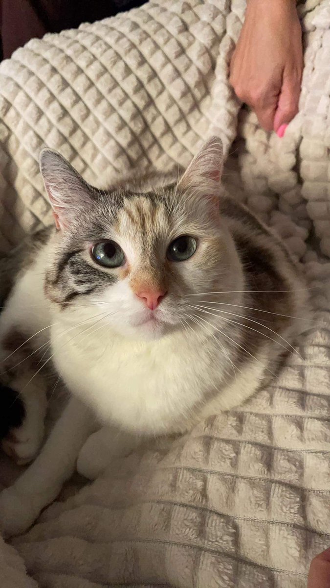 princess Lou tweet media