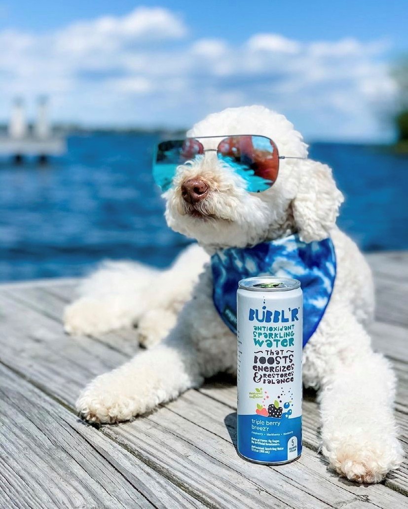 ExellCompanies's tweet photo. Happy National Puppy Day to all of our furry friends!

#nationalpuppyday #furryfriends #puppyday #sparklingwater #lakeday #mississippi https://t.co/pUoEQfQs8D
