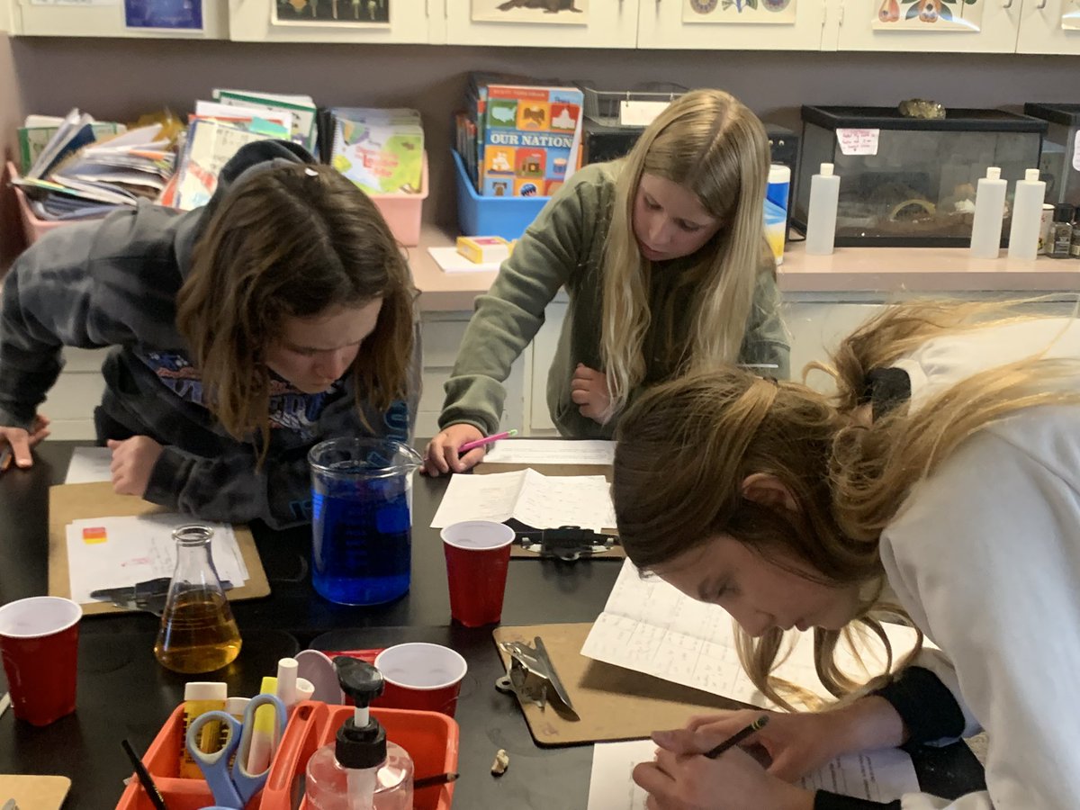 MillersLab11's tweet photo. Chemistry test? Bah! Mystery GAME!!  Cheat sheets of course allowed (observations on data). @Fuerte_Falcons @CajonValleyUSD #bemorefuerte #5thgradescience #chemistry #5thgrade #excellentstudents https://t.co/f2T0ZOJEKU