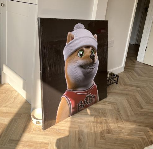Shibaclubnft's tweet photo. Jersey on &amp; ready to play some basketball! #MarchMadness What team do you have winning? #NFTs #OpenSea Baby Shiba #4104 https://t.co/7t8hOO43HV