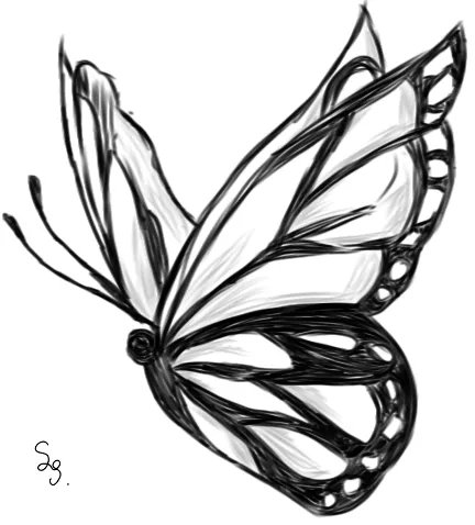 🦋🌷