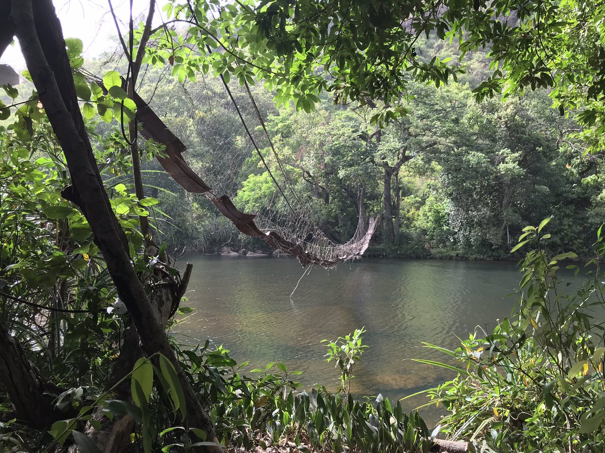 david_mcilroy's tweet photo. The magnificent Kambadaga falls, near Pita in beautiful Guinea 🇬🇳. https://t.co/WPx22KGguk