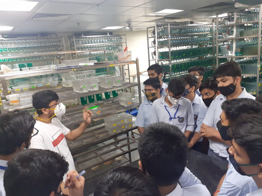 CSIR-IGIB tweet media