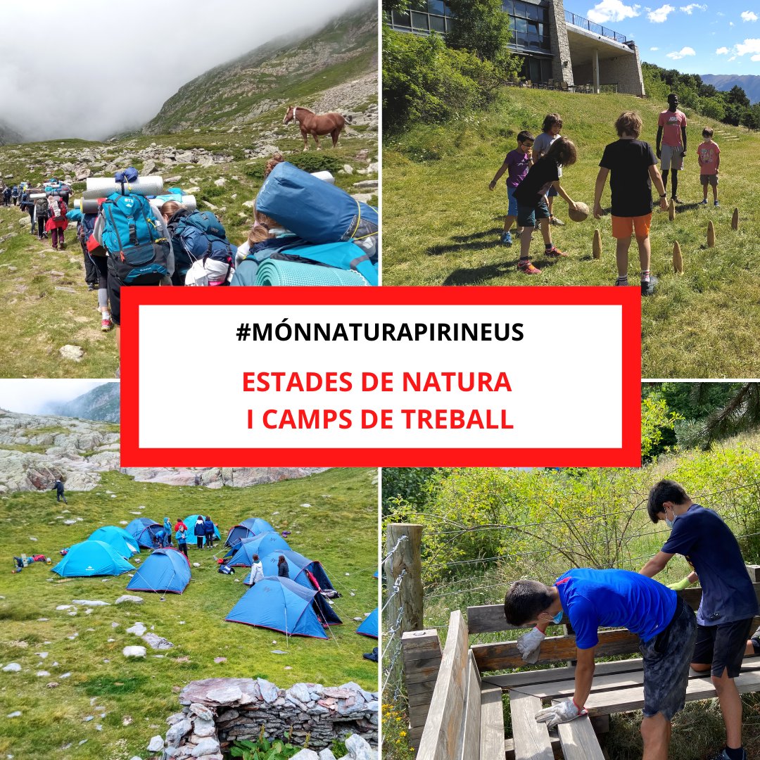 Tornen les Estades de Natura i Camps de Treball aquest juliol a #MónNaturaPirineus! 😍🌲
El període de pre-inscripció s’ha obert avui per infants i joves repetidors, i dimecres 30/3/22 a les 10:00h per la resta.
ℹ️ monnaturapirineus.com.
📩estadesdenatura@monnaturapirineus.com