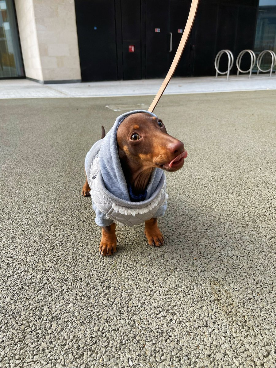 Yashannahx's tweet photo. @OfficialPLT #PLTpet 🐾🐾🐾🐾🐾 @OfficialPLT https://t.co/mj63WBJO8f