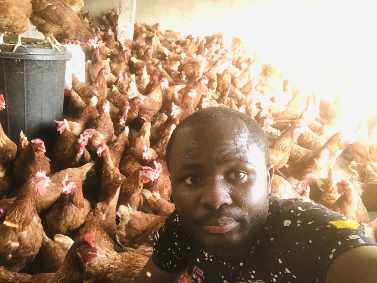 Elie Lomboto🇨🇩🐓 tweet media