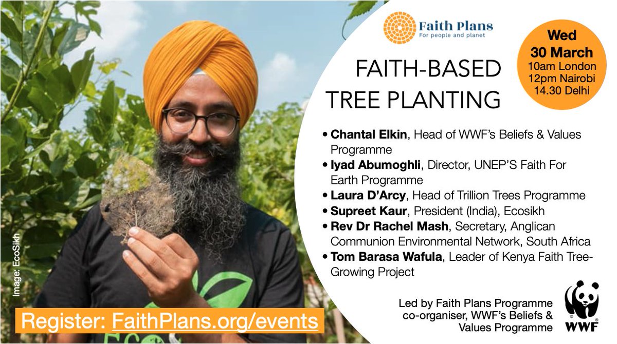 FaithPlans's tweet photo. Protecting forests and planting trees is critical to mitigate climate change &amp; restore natural ecosystems. How can faiths use their assets to meet conservation goals? Join us for this webinar led by @wwf_uk. Register: https://t.co/w2j5l3OZNN #FaithsTakeAction #OneTrillionTrees https://t.co/mEkzXYQnlR