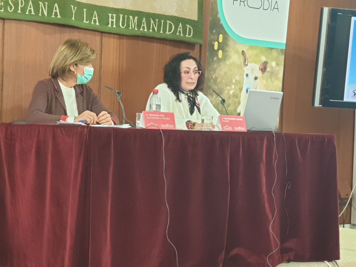 ProdiaConecta's tweet photo. (4)
Deseamos veros pronto y que en este camino sigamos encontrándonos con quienes ya están y con quienes están por venir

Por la protección y la dignidad 🍀 https://t.co/2fMirSMNfD