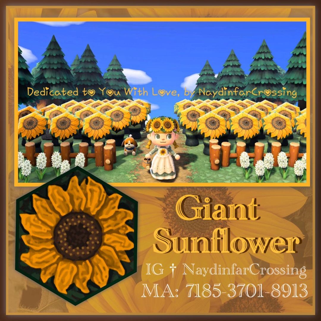 AnimalCrossin01's tweet photo. 💕
#AnimalCrossing https://t.co/QQbh6PhwYy