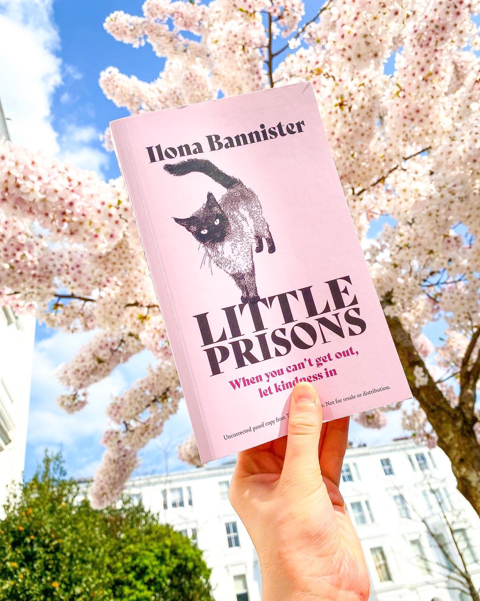 johnmurrays's tweet photo. Little Prisons proofs are in, and aren’t they gorgeous?!😍

We also obviously had to feature Team JMP’s fluffiest assistant, Artemis the kitten, to show off the beautiful cover🐈💕 @IlonaBannister #LittlePrisons #NotAllPrisonsHaveBars https://t.co/QgS2uQt9F3