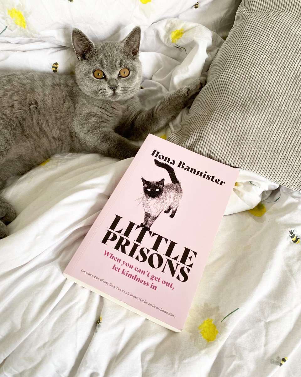 johnmurrays's tweet photo. Little Prisons proofs are in, and aren’t they gorgeous?!😍

We also obviously had to feature Team JMP’s fluffiest assistant, Artemis the kitten, to show off the beautiful cover🐈💕 @IlonaBannister #LittlePrisons #NotAllPrisonsHaveBars https://t.co/QgS2uQt9F3
