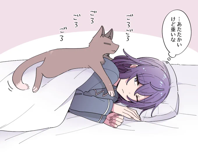 寝顔を見に来る❄🐈 